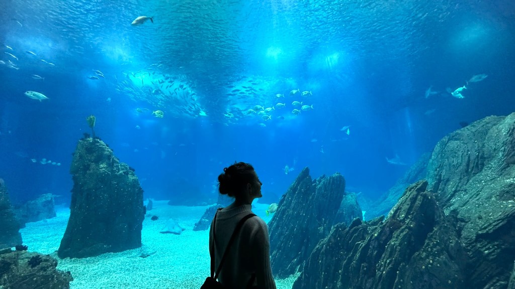 Oceanario de Lisboa